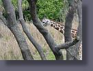 disney/disney_10.jpg