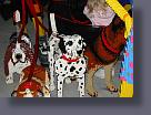 disney/disney_42.jpg