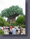 disney/disney_61.jpg