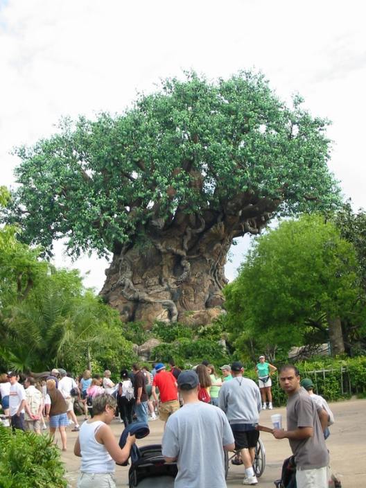 disney/disney_61.jpg