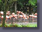 img_0597.jpg
